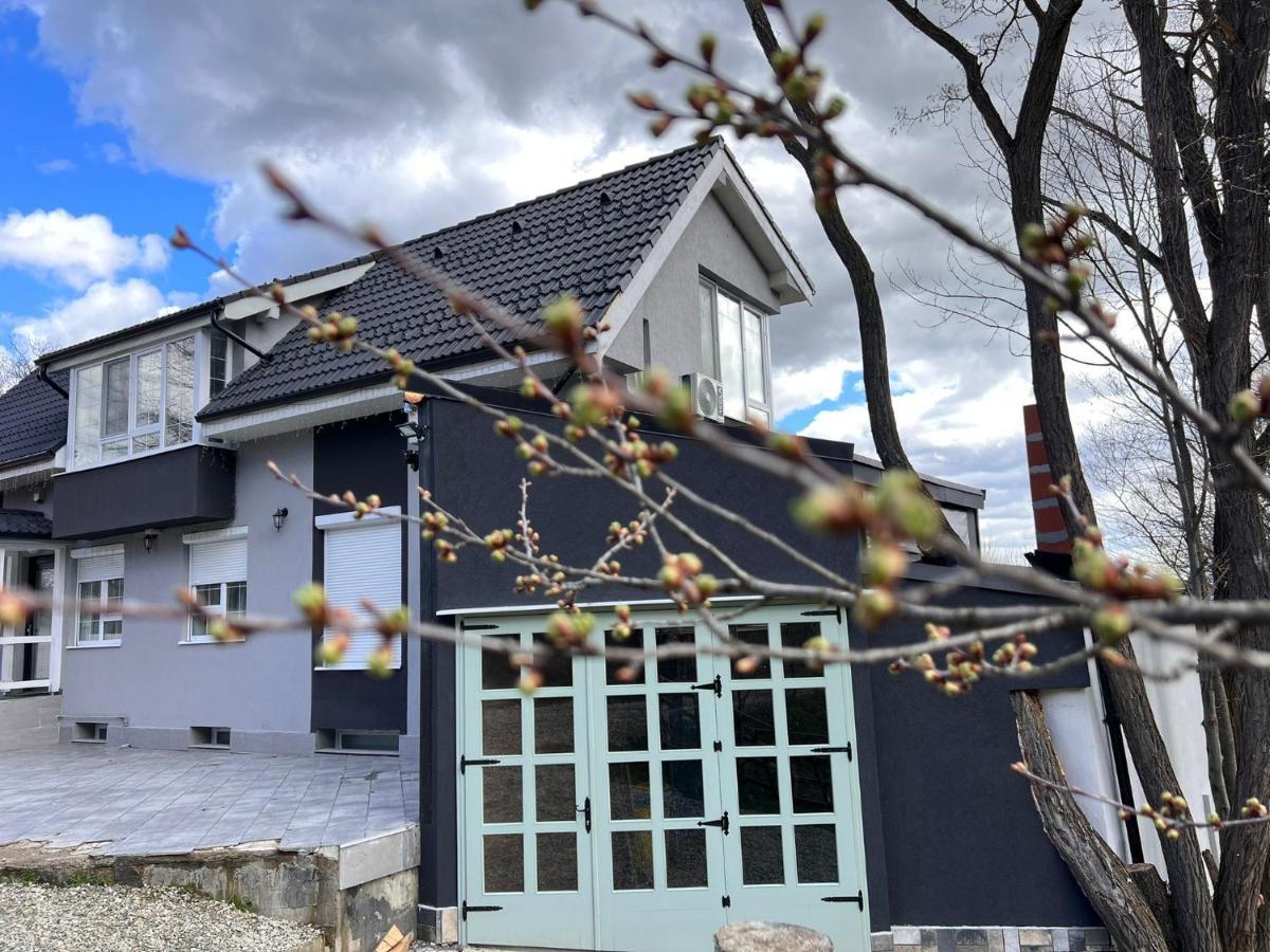 Premont Bran Guesthouse المظهر الخارجي الصورة